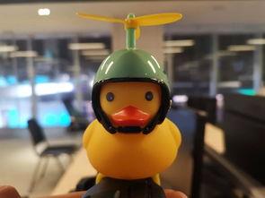 四只小黄鸭爆料视频,幕后真相大曝光! 第3张 四只小黄鸭爆料视频,幕后真相大曝光! 第3张